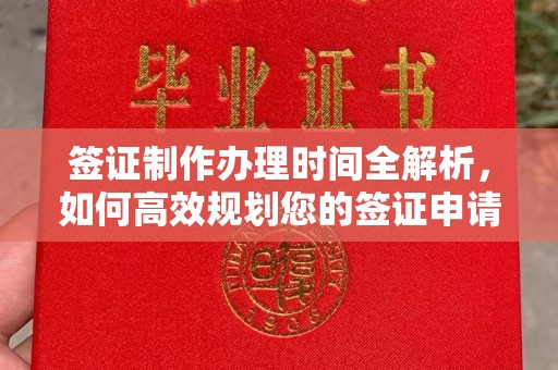 哈巴河签证制作办理时间全解析，如何高效规划您的签证申请流程